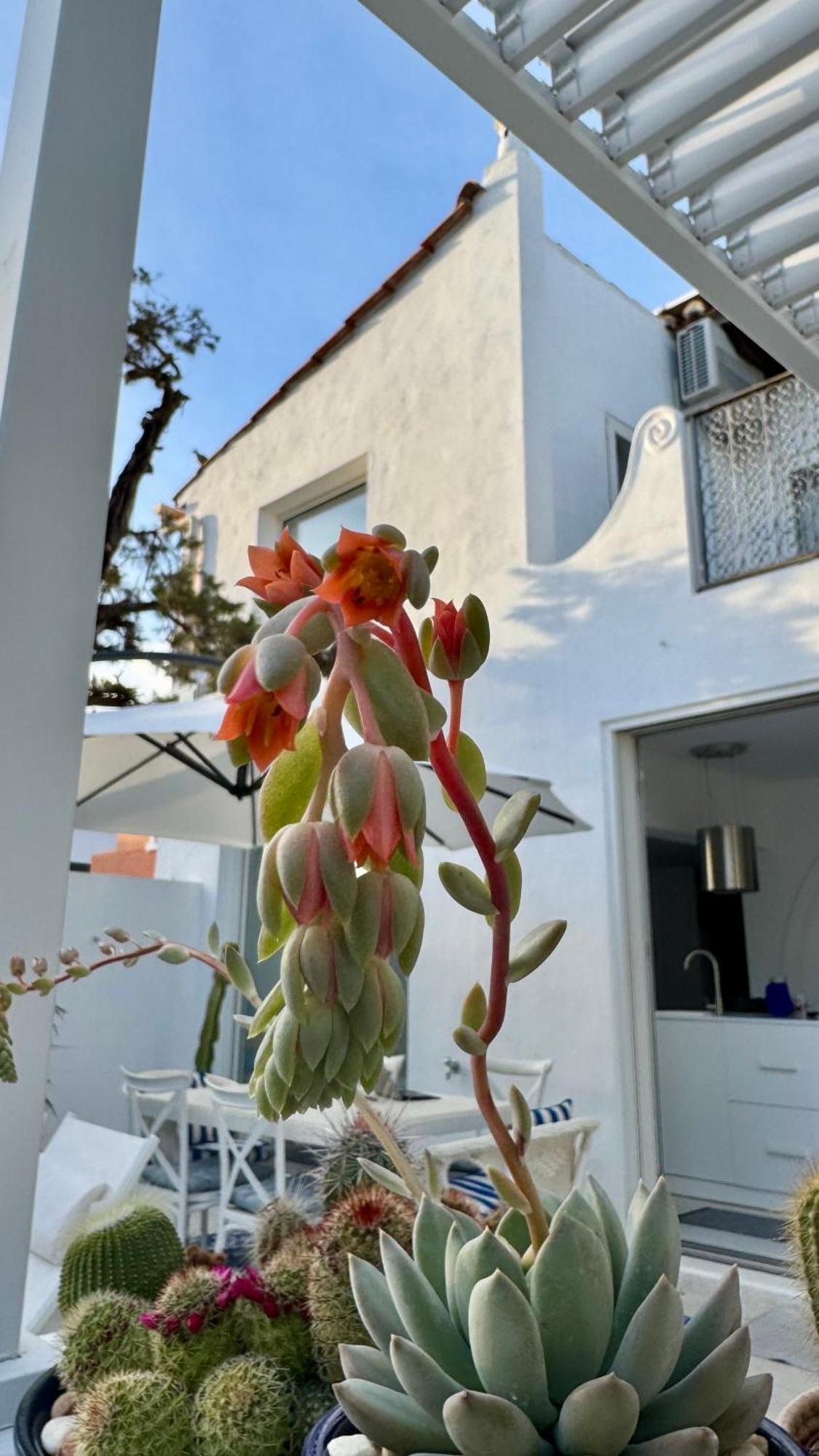 Villa Casa Blu Marbella Esterno foto